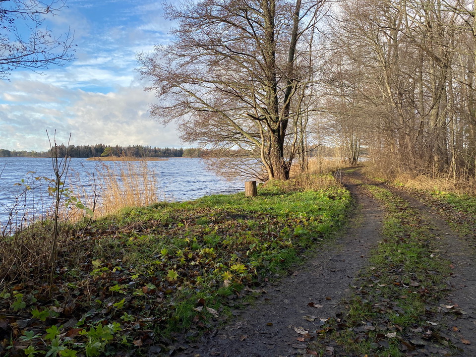 Leden utmed Gimo damm