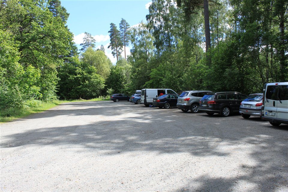 Många bilar står på en avlång, grusad parkeringsplats med skog runtom.