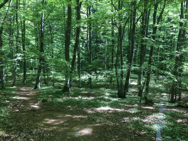Stig Hjässan till Stocklycke 