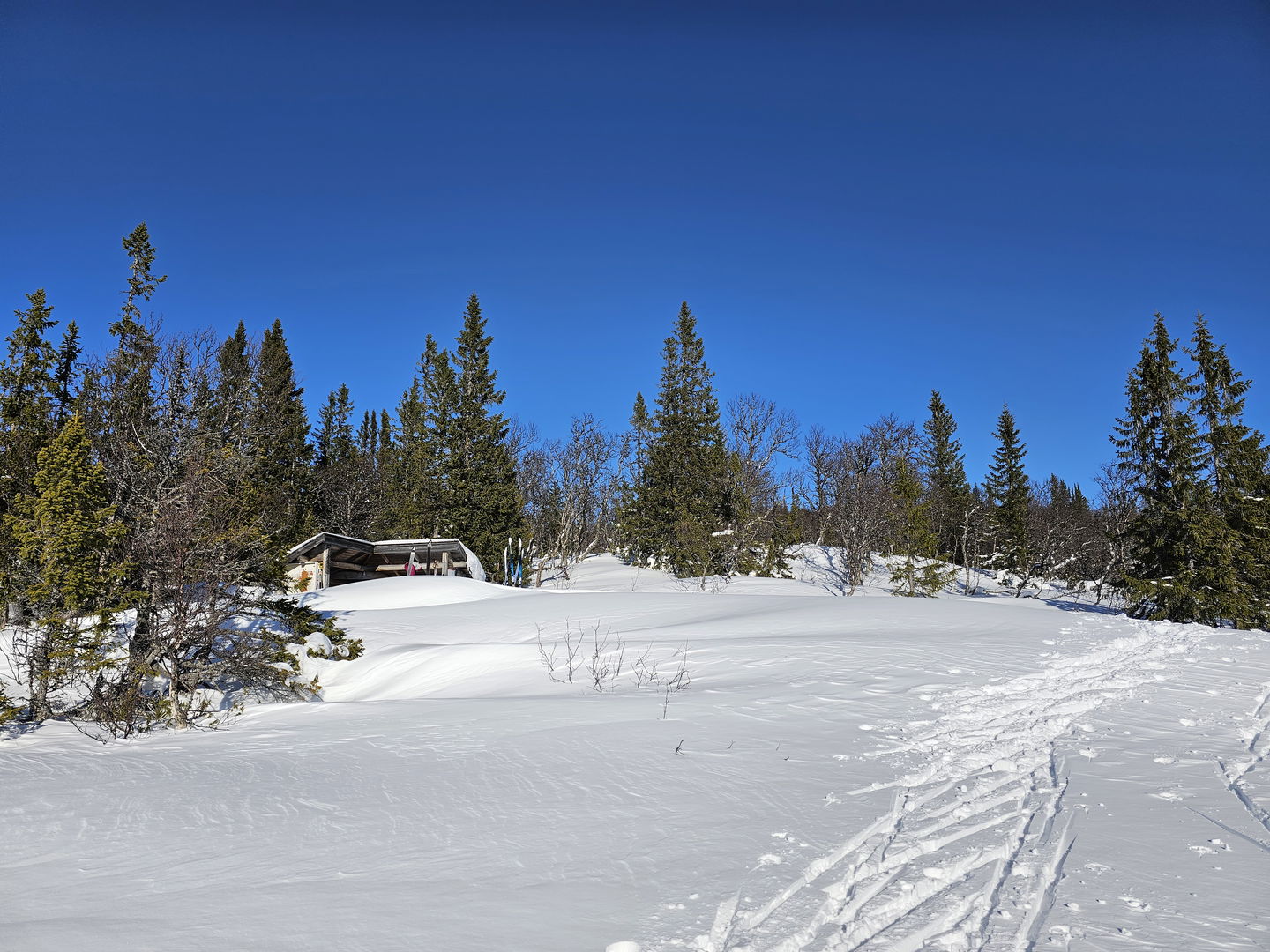 Litet vindskydd som ligger i skogskanten med en snöig lägda framför