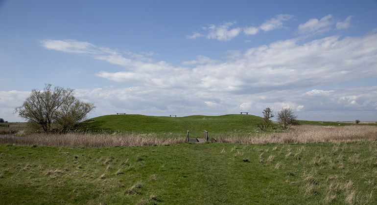 Skanörs borgruin 