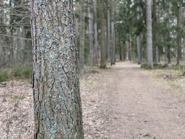 Tallboda elljusspår (2,2 km)