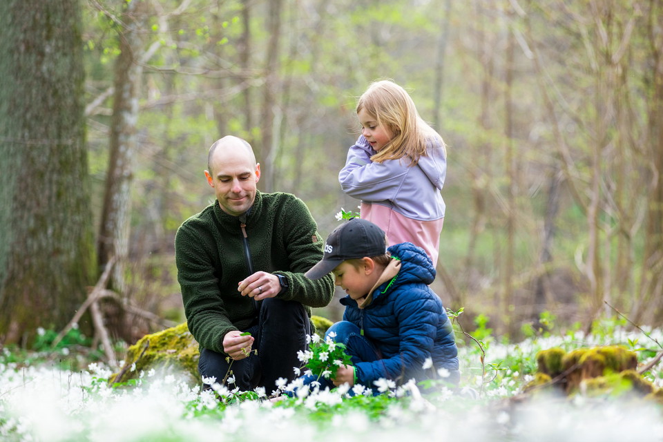 Familj plockar blommor i Carl ugglas park.