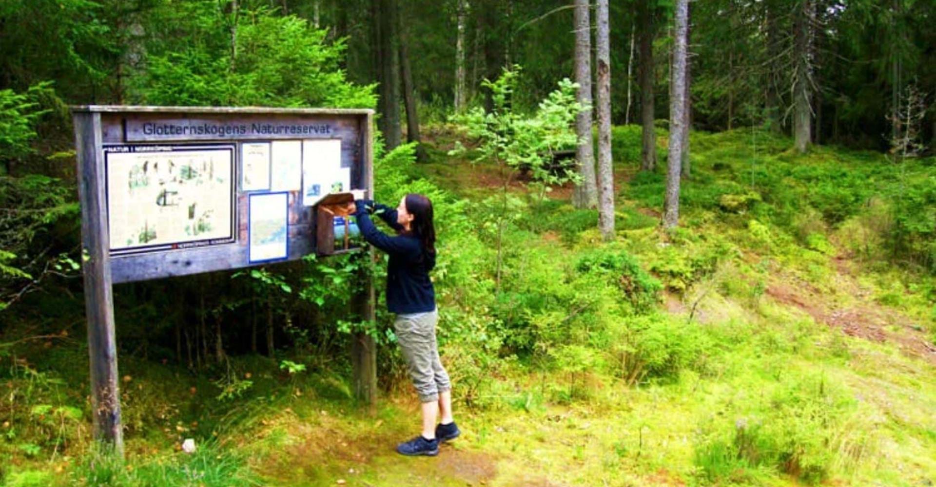 Informationstavla vid parkering i Glotternskogens naturreservat
Kolmården
Norrköping