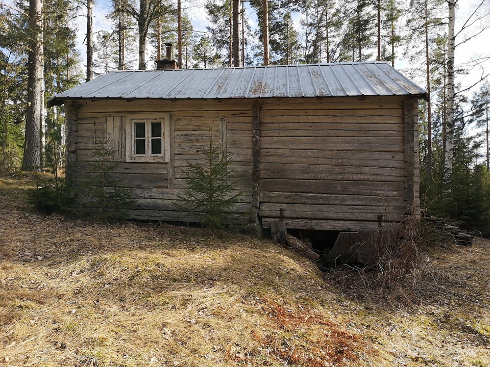 Renåsvallen