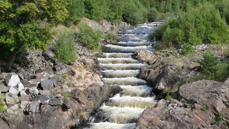 Laxtrappan i Gullspångsälven