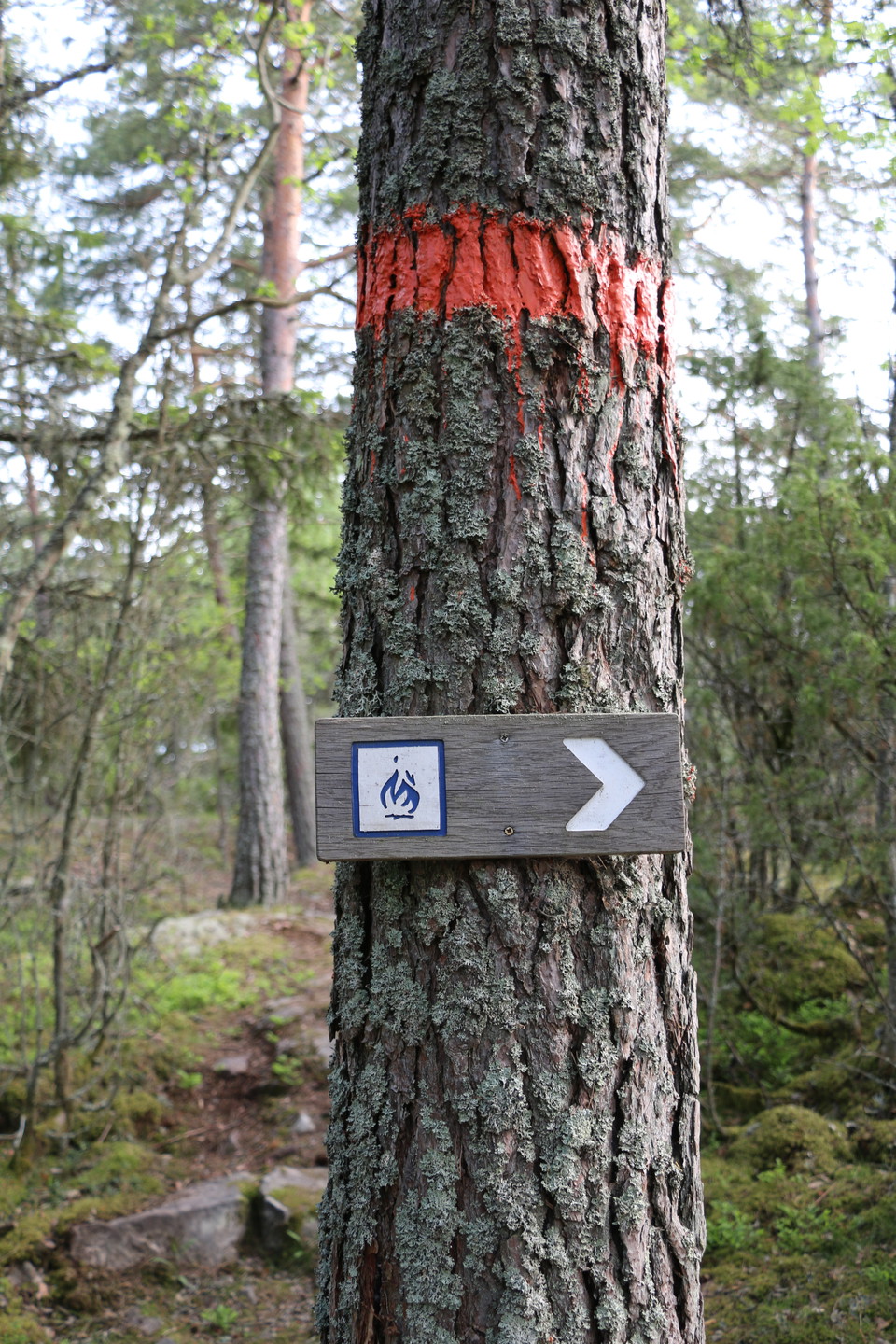 Skylt sittande på träd som visar vägen mot grillplats.