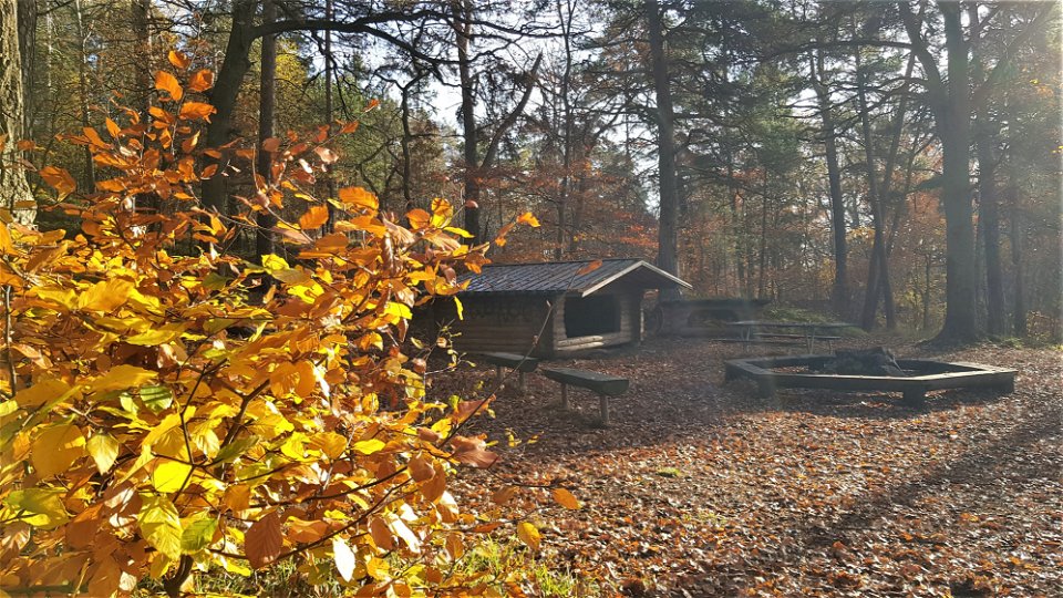 Vindskydd och grillplats i Kappstaskogen. Foto Lidingö stad.