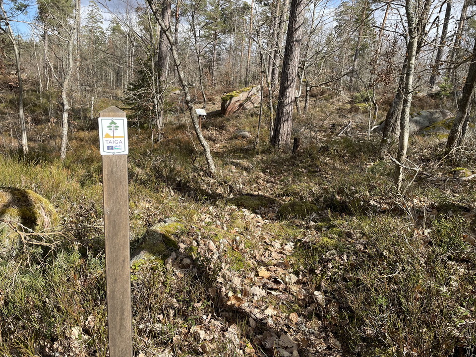 Ledmarkeringsstolpe längs vandringsled