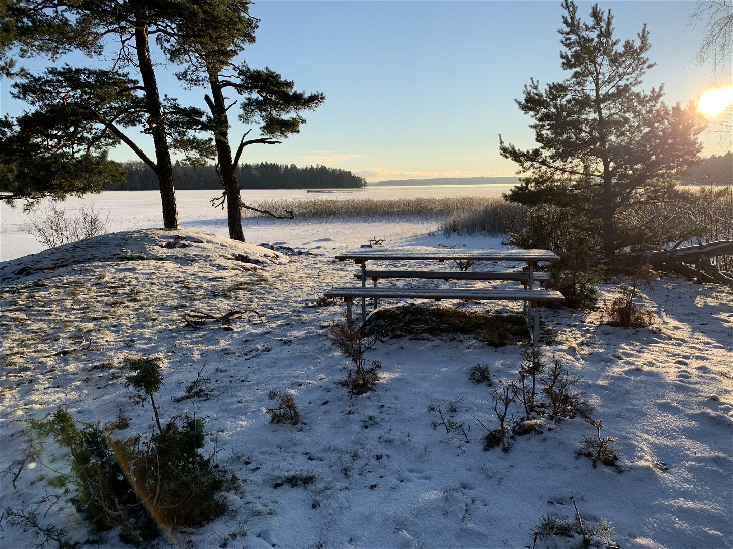 Rastplats med utsikt över Svärdsnäsviken.