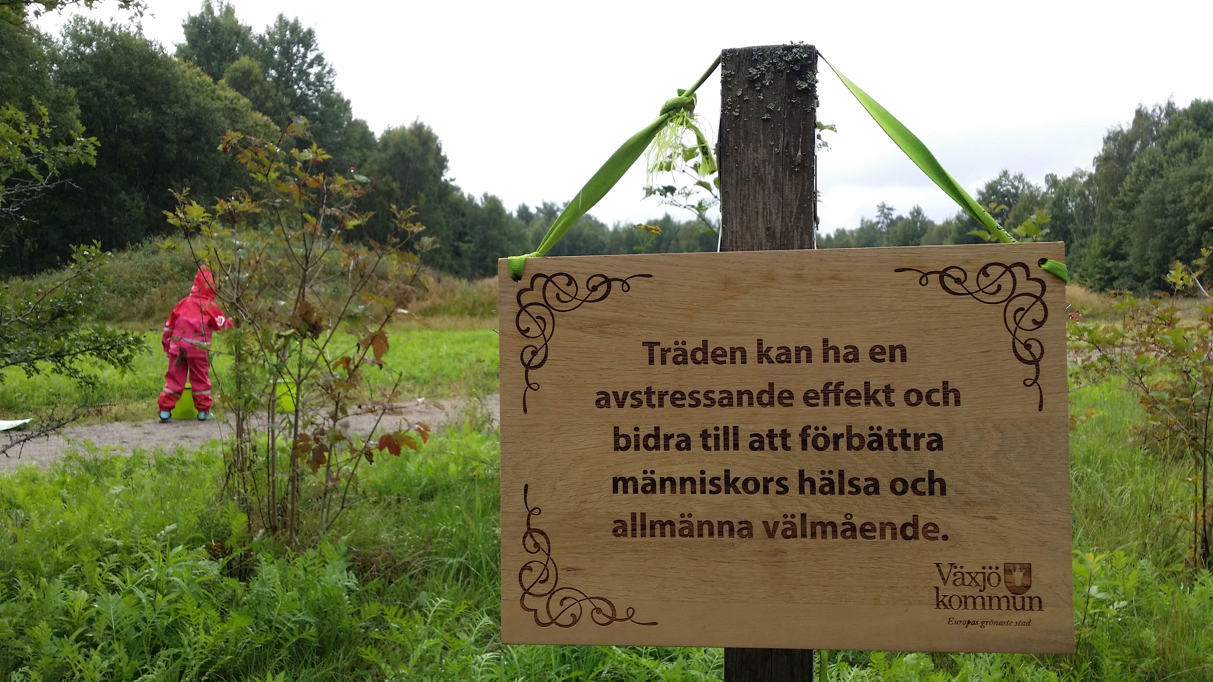 Natur är hälsosamt