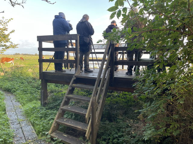 Fågelplattform i Gräsgårds hamn, Gammalsby sjömarker