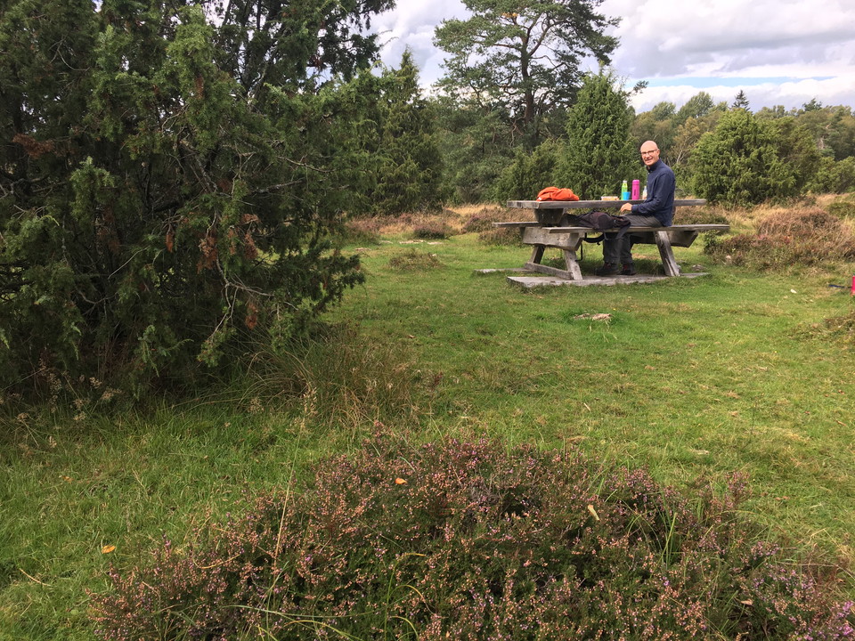 Vandraover betesmarker, ljunghed och enefälad. 