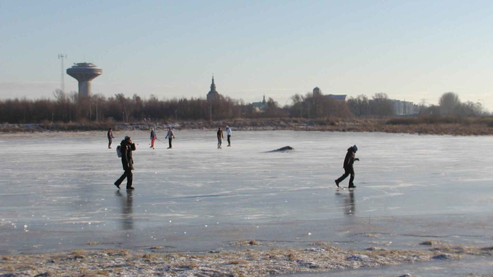 Åk skridsko på översvämmade strandängar. 