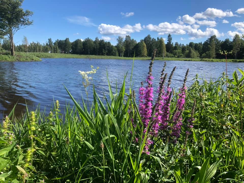 Lindbomossen - foto: Sören Eriksson Naturvård AB
