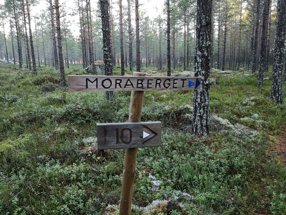 Vandringsled upp på Moraberget