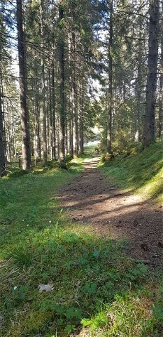 Munkagårdsleden - St Birgitta Ways