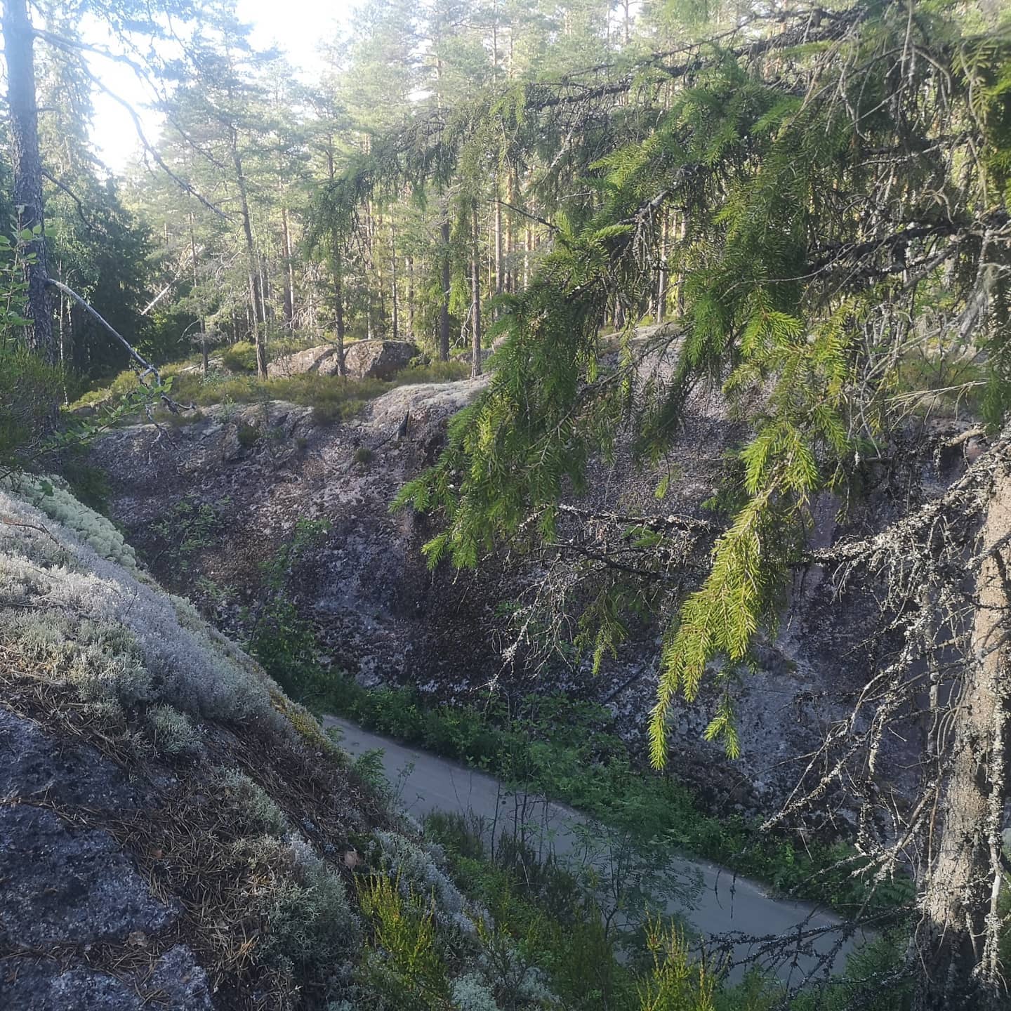 väg i dal