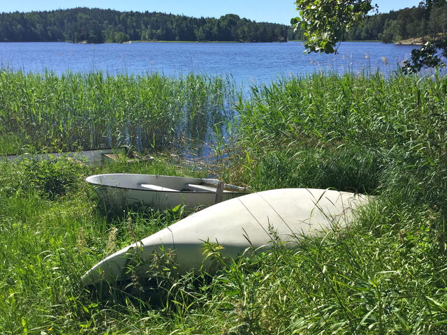 Uthyrning av båtar, Albysjön