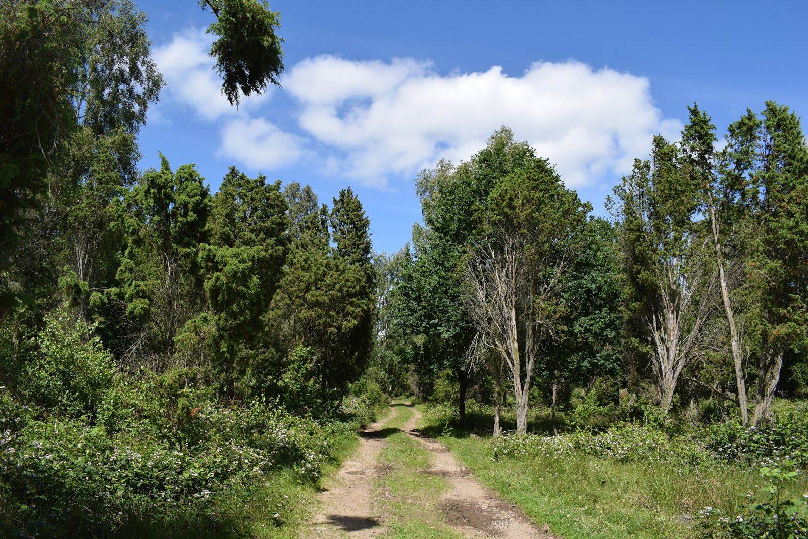 Anderstorp Eneskog Klippan