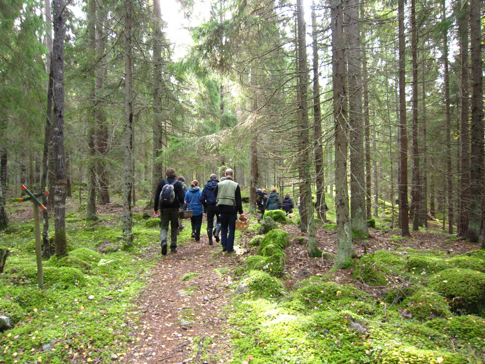 Vandring utmed kyrkstigen