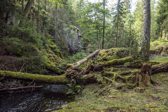 Höglandsleden etapp HÖ5 - Guldfeber och förkastningssprickor