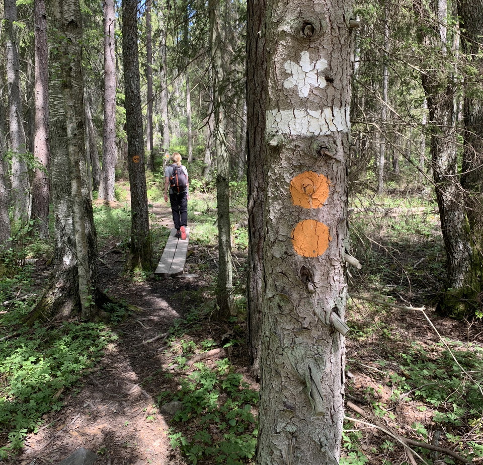 Välkommen till vandringsslingan genom Gullunge naturreservat. 