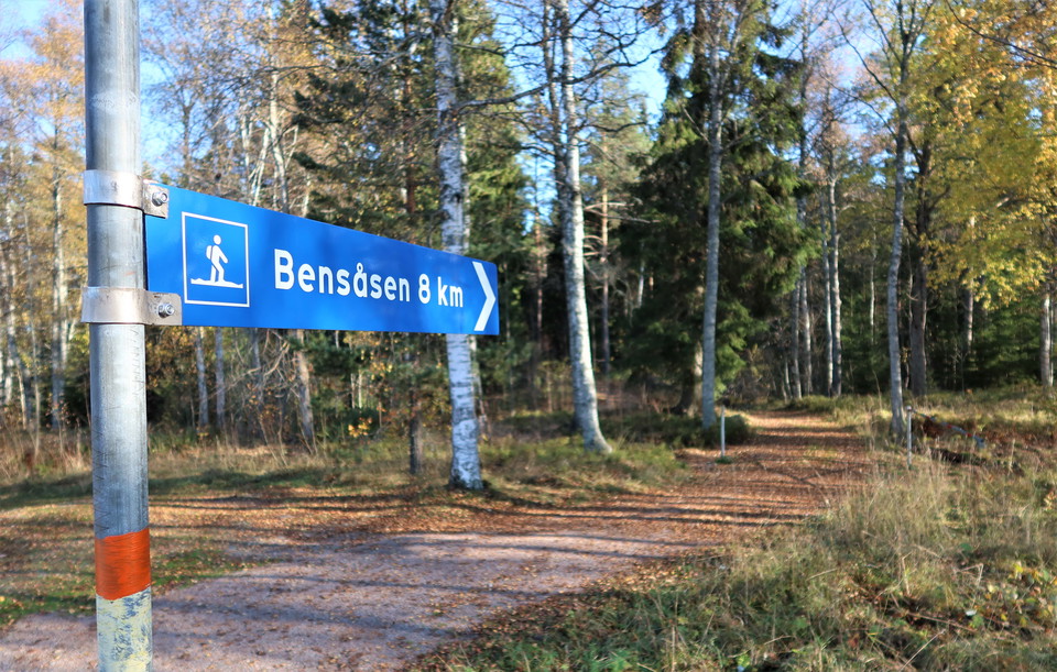 Skyltar som visar vägen.