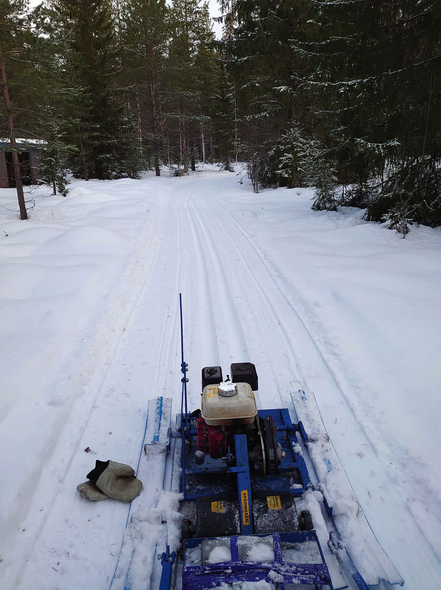 Längdåkning OK Forsarna