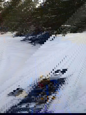 Längdåkning OK Forsarna 1,5 km