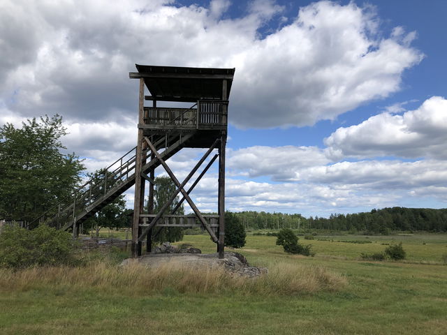 Fågeltorn Målsjön
