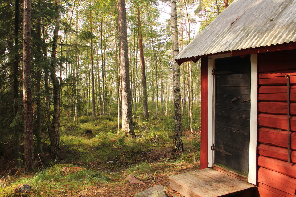 Stuga i förgrunden. Mellan träden skymtar Stora Agnsjön.