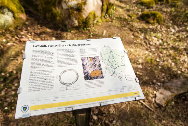 Gravfält, stensträng och skålgropssten