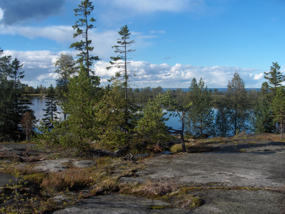 Gammelgrundsviken.