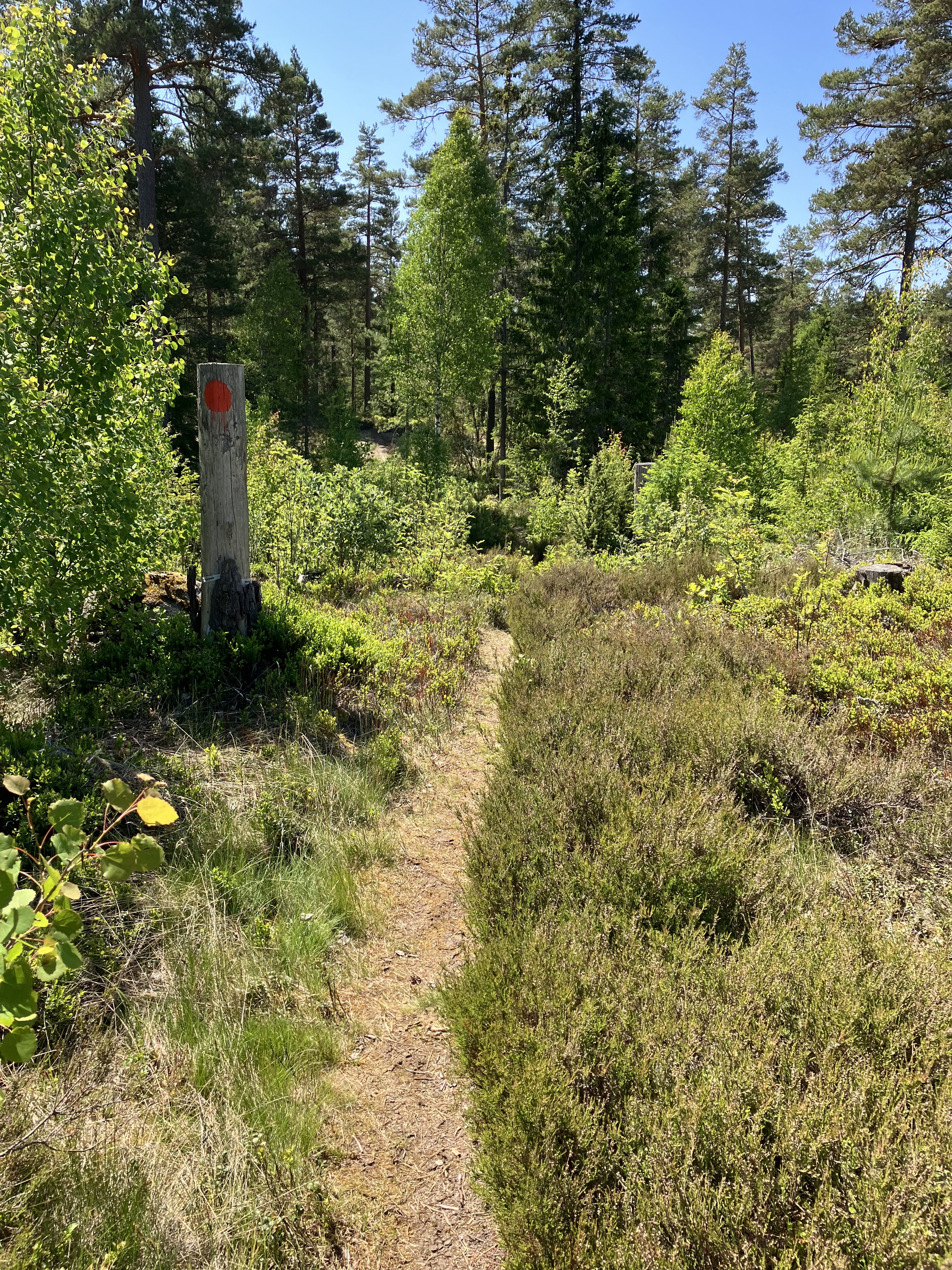 Sörsjön – Hultsbruk, Östgötaleden