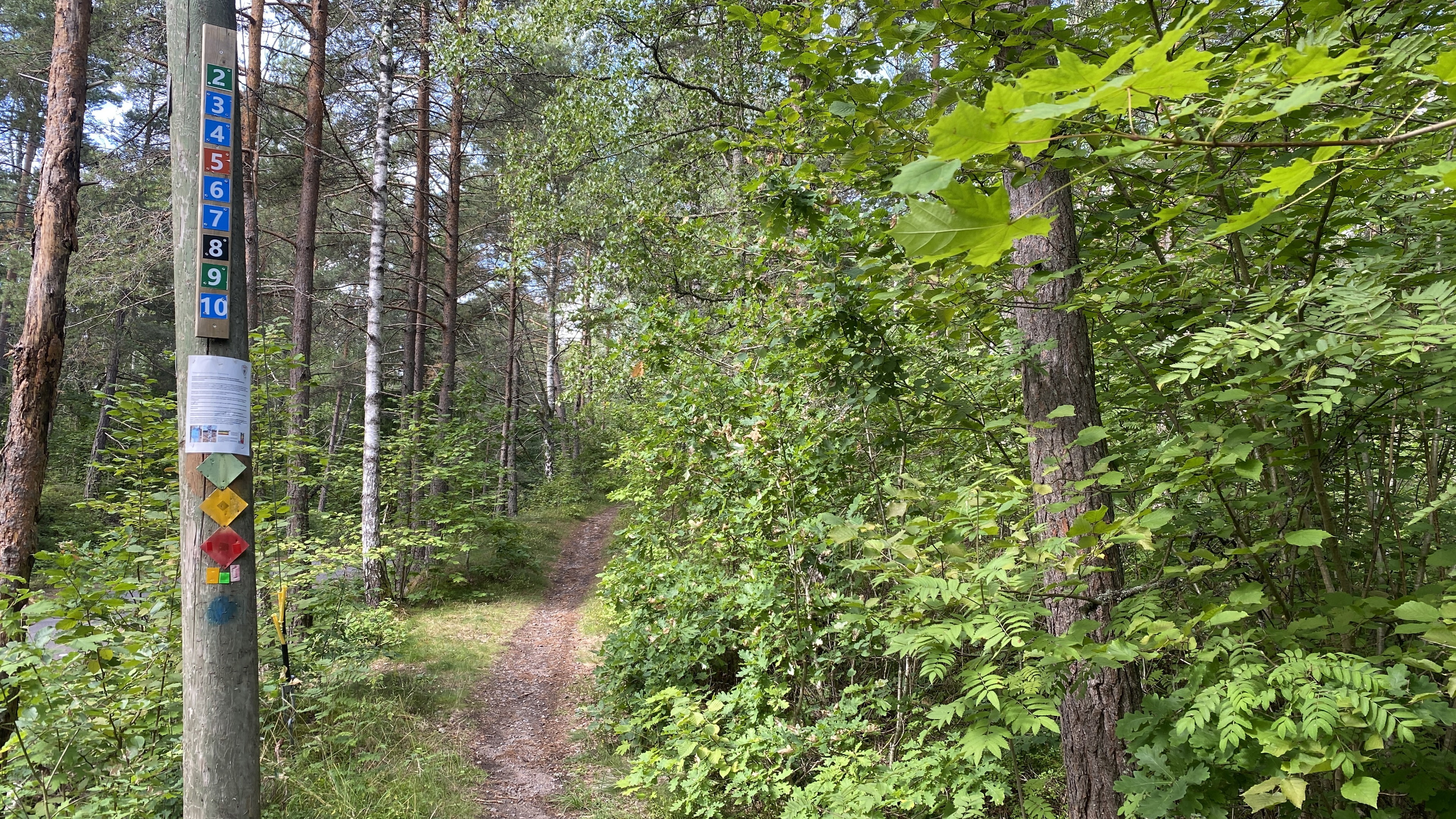 Välmarkerade leder
