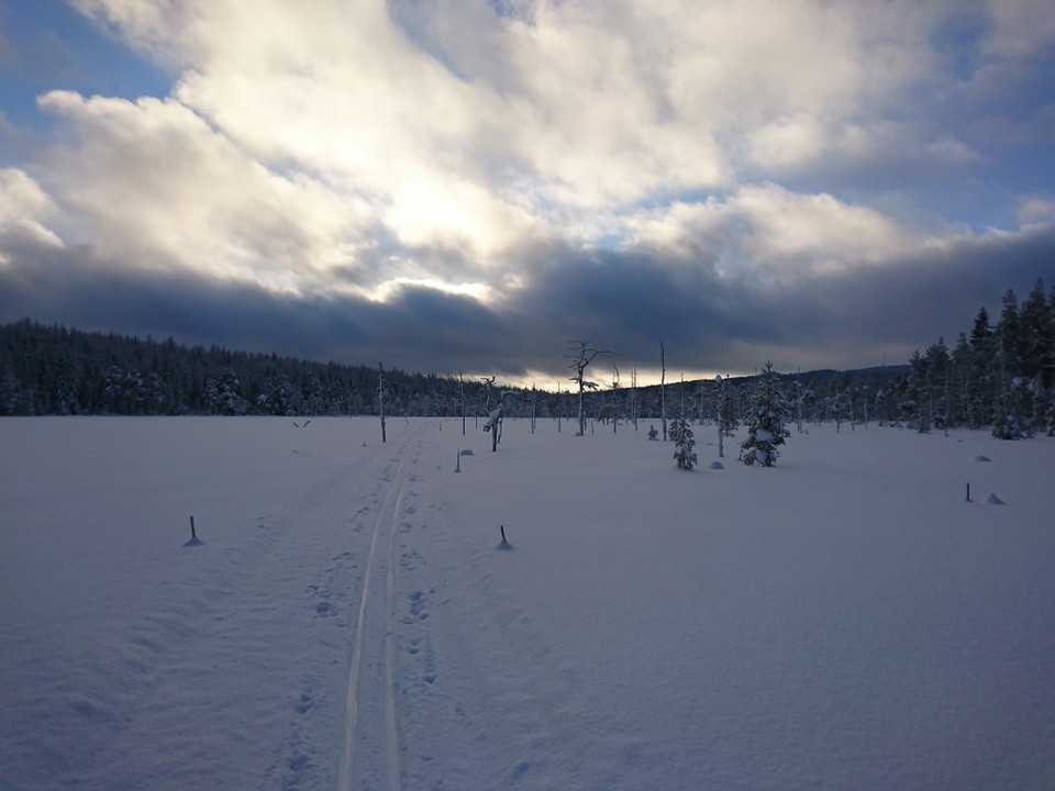 Kycklingmyrarna