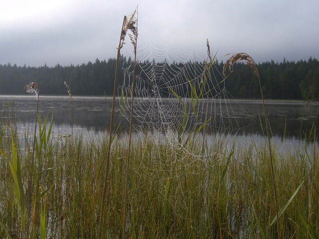 Stora Åkebosjön