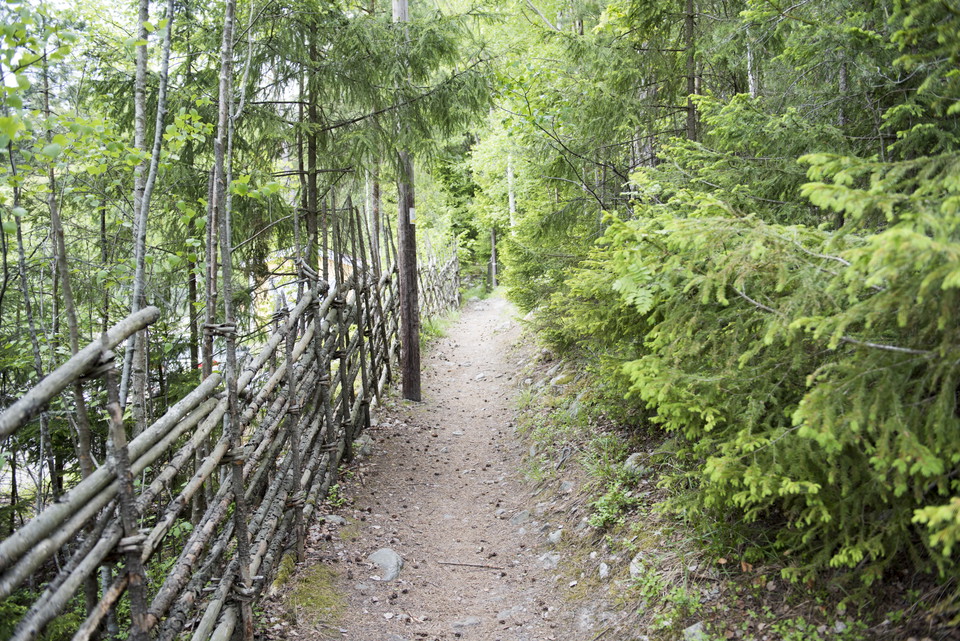 Entré till Talbyskogen från Mälarbadet