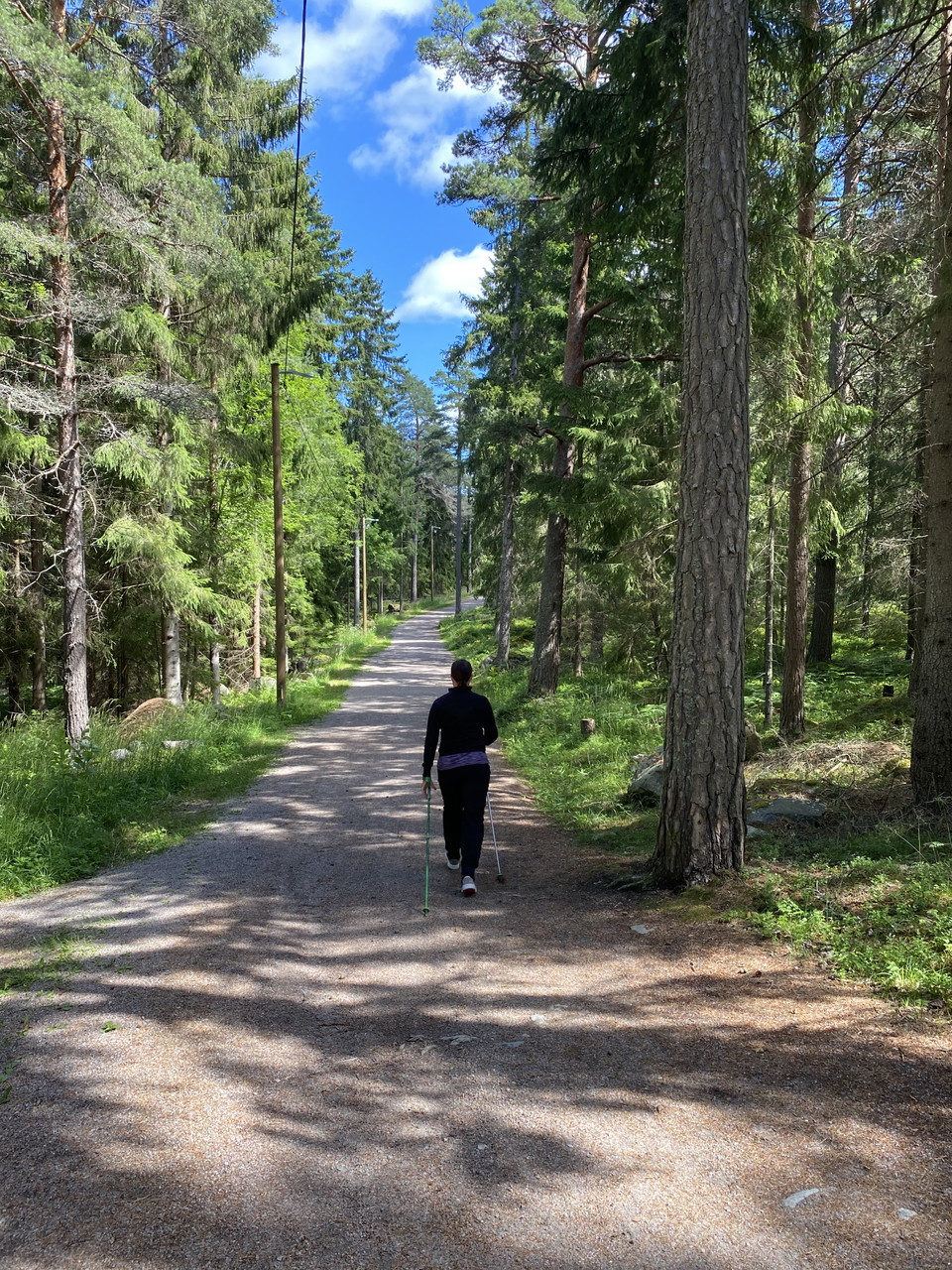 6 km spåret Hemlingby 
