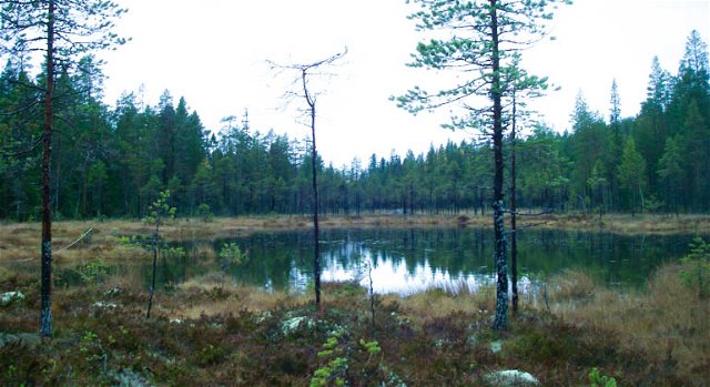 Karlsborgsberget, Naturreservat