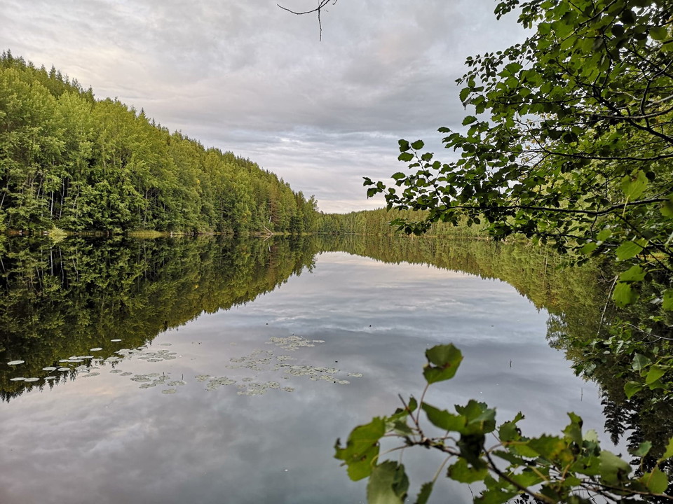 Stråsjö Långtjärn