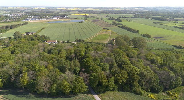 Skytteskogen, Naturreservat
