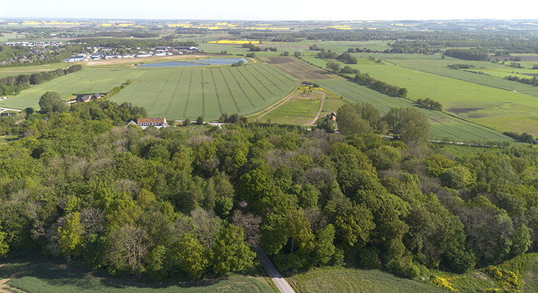 Skytteskogen omgiven av åkermark.
