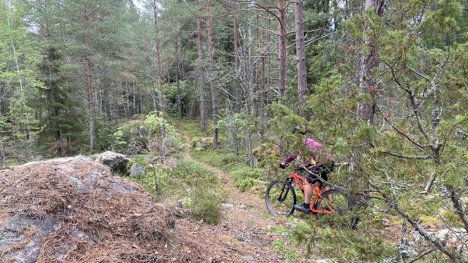 Härlig singletrack
