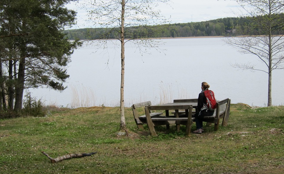 Buda badplats. Kycklingledens startplats.