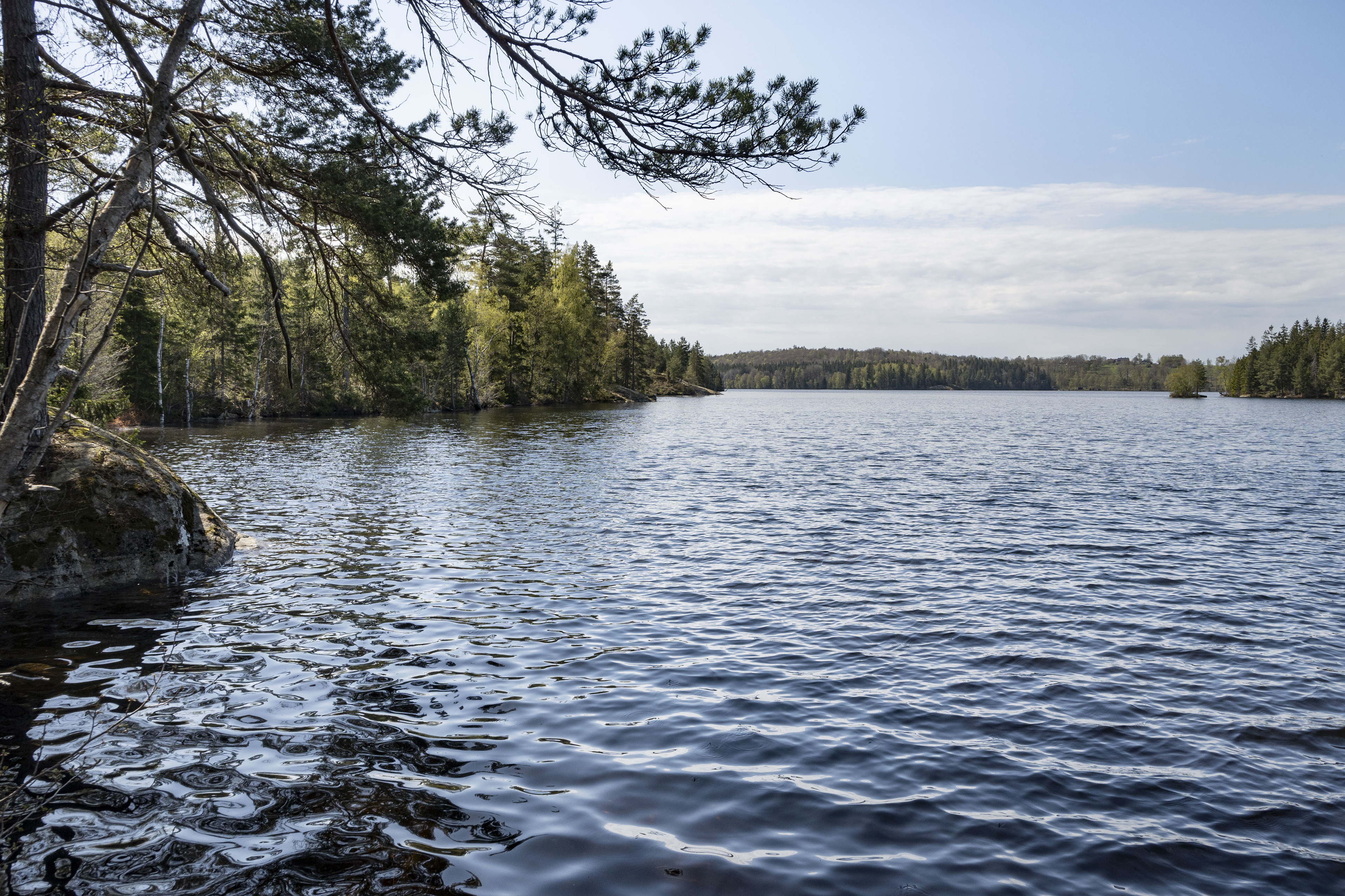 Höglandsleden stage HÖ11 Asa - Hultsjö - Part of the Småland trail