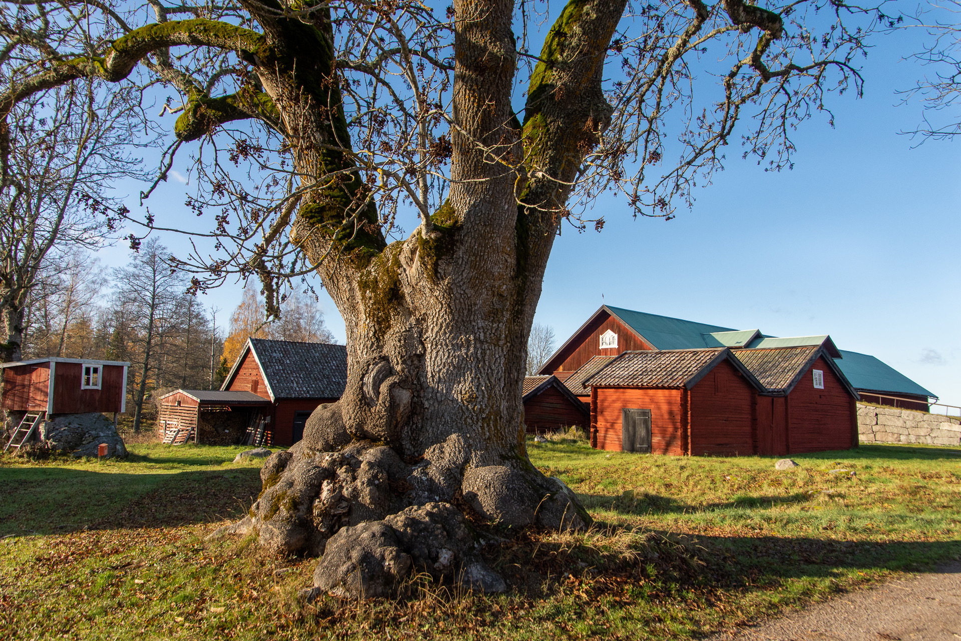 En rödmålad bondgård