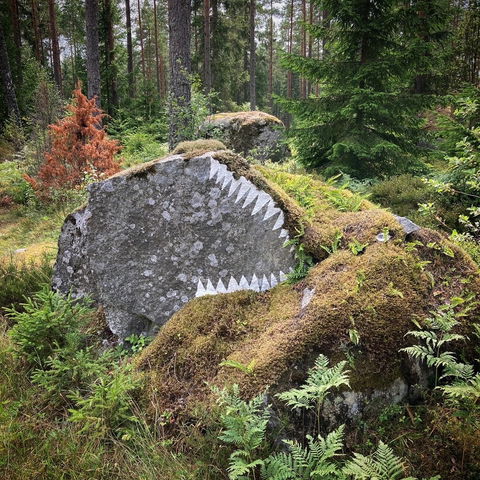 Konst: Storhajen