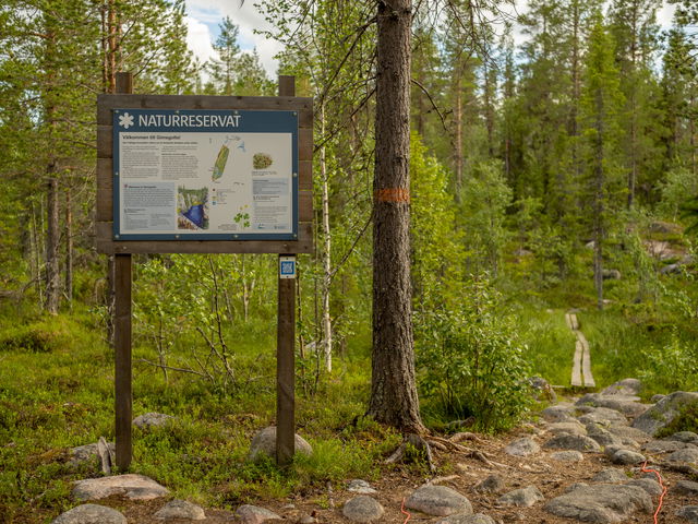 Gimegolts vandringsled